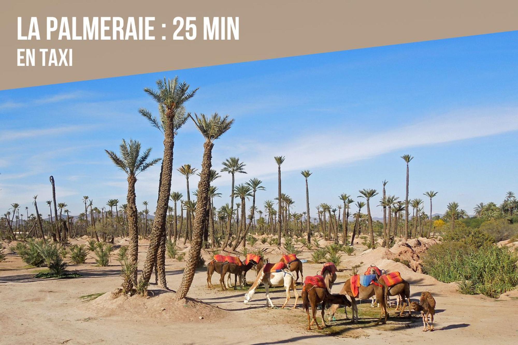 Magnifique Appartement Moderne De 2 Chambres Avec Piscine A 10 Min Du Centre De Marrakech Marraquexe Exterior foto